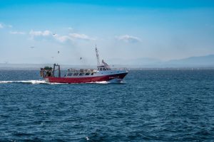 fishing vessel, professional fishermen, vessel-7631234.jpg